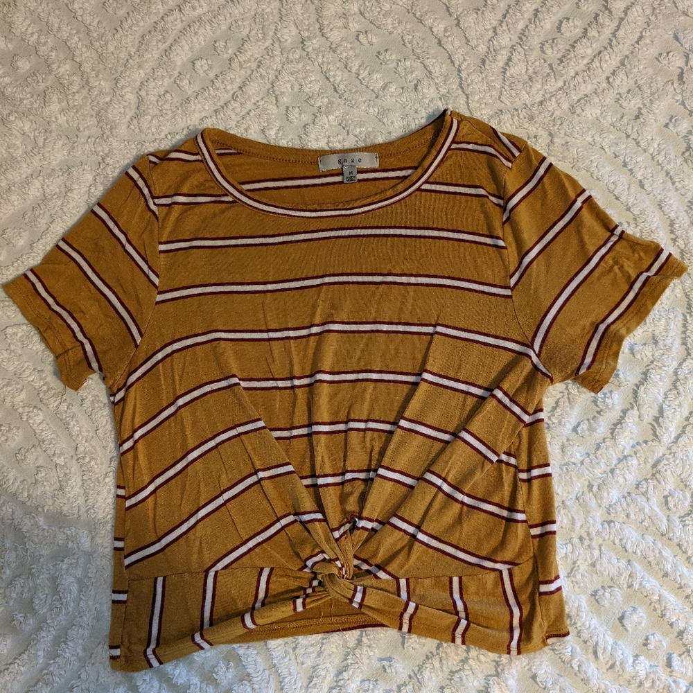 Striped Crop Top